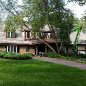 A house with large trees and a green lawn