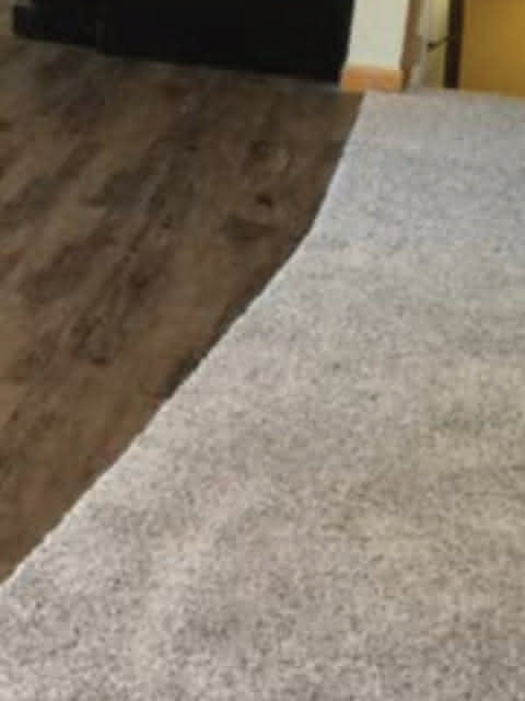 Gray carpet and a hardwood floor